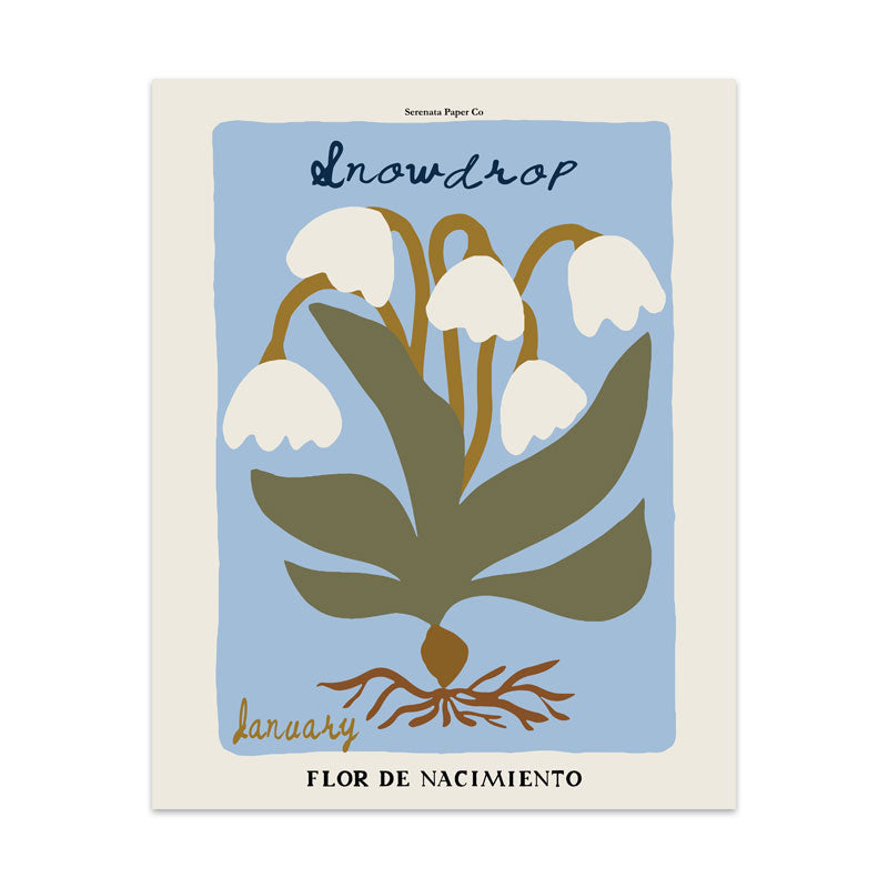 January Birth Flower Art Print