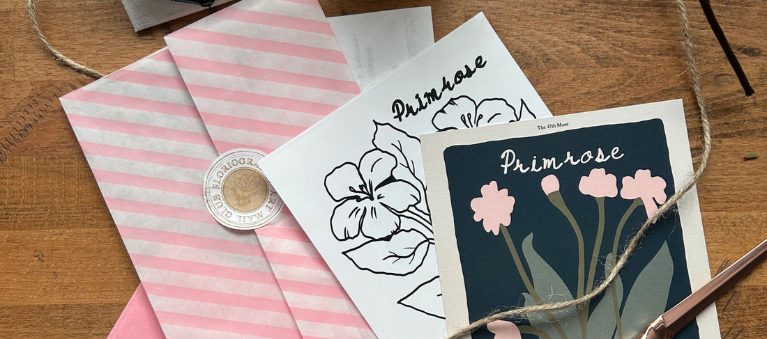 Primrose Flower Meaning and a Secret Floriography Message for the  Art Print Mail Club Using The Language of Flowers