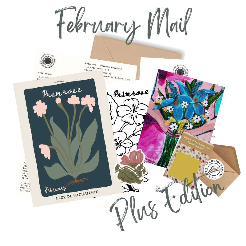 February PLUS Edition of The Floriography Art Print Mail Club
