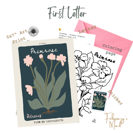 Floriography Print Snail Mail Club: Bimonthly Snail Mail Delivery