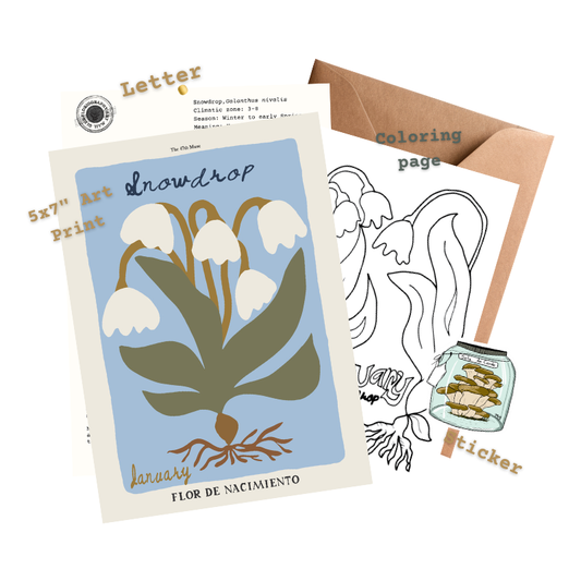 January Edition of The Floriography Art Print Mail Club