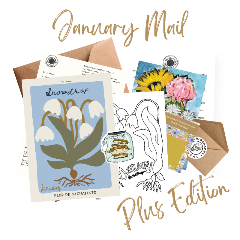 January PLUS Edition of The Floriography Art Print Mail Club