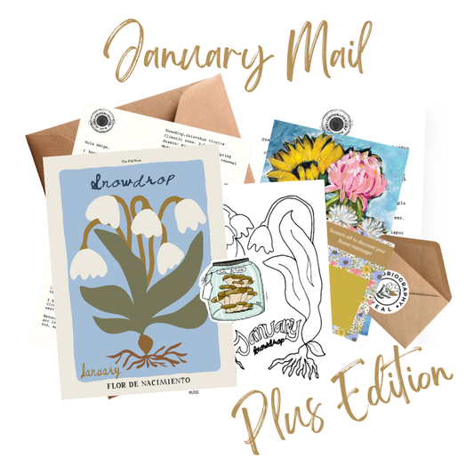 January PLUS Edition of The Floriography Art Print Mail Club